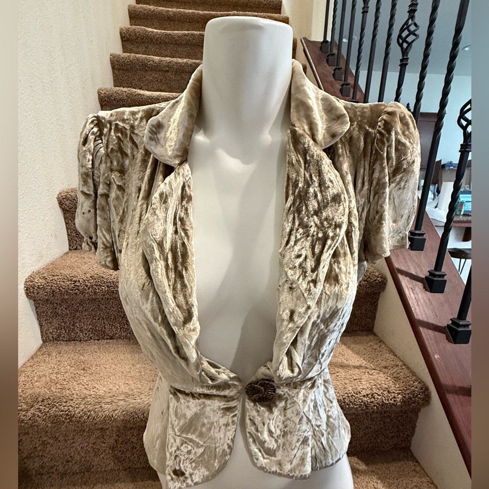 Vintage Y2K Crushed‎ Velvet blouse